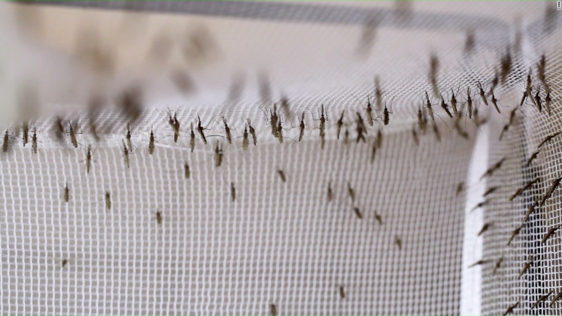 The female anopheles mosquito was responsible for 438,000 deadly cases of malaria in 2015.