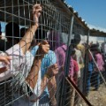 05 idomeni migrants greece