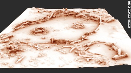 A 3D reconstruction of the Bruniquel Cave structures.