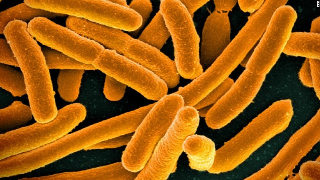 Enterobacteriaceae are a group of bacteria that include E.Coli (pictured). They are also showing significant resistance to the antibiotic carbapenem and are commonly picked up in hospitals. One in 25 hospital patients in the US are estimated to acquire at least one bacterial infection in hospital, according to the US Centers for Disease Control and Prevention.