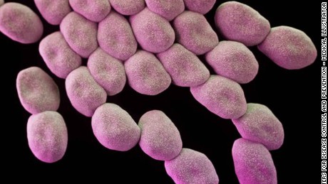 WHO: These 12 bacteria pose greatest risk to human health