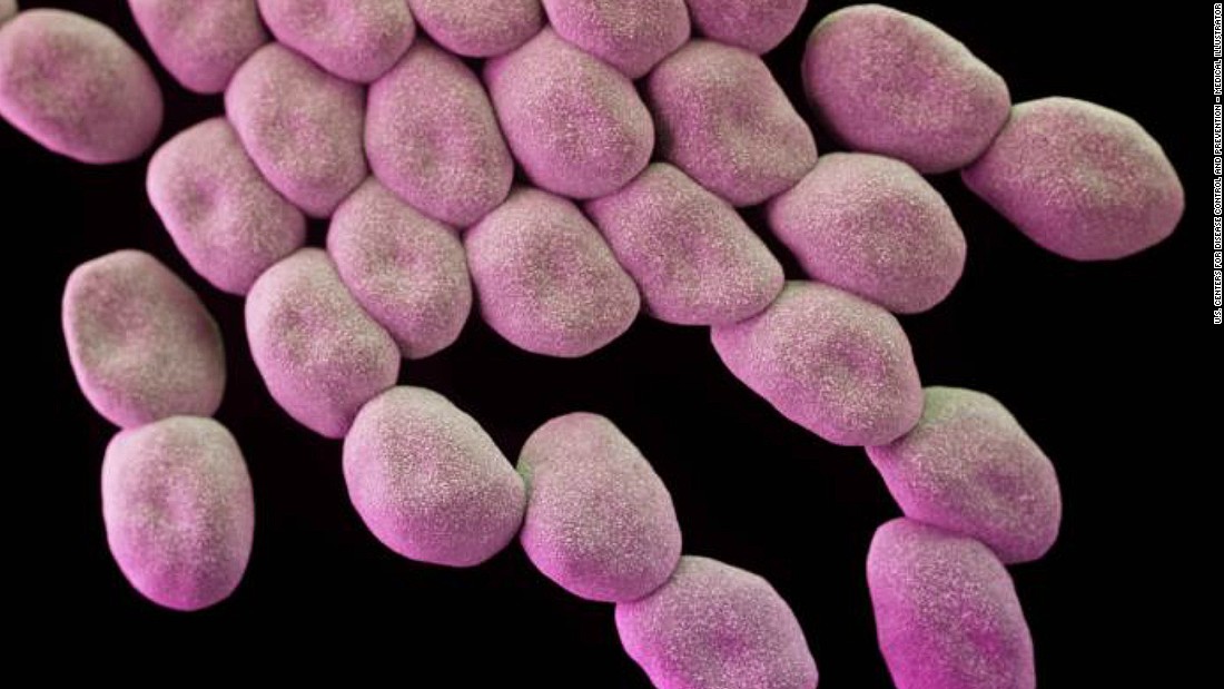 Topping the list as a &quot;critical priority,&quot; Acinetobacter baumannii is a common cause of hospital-acquired infections, picked up both in hospital and in healthcare settings, such as nursing homes.