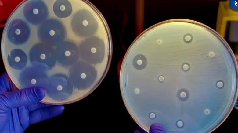 CDC sees &#39;steady increase&#39; in drug-resistant bacteria