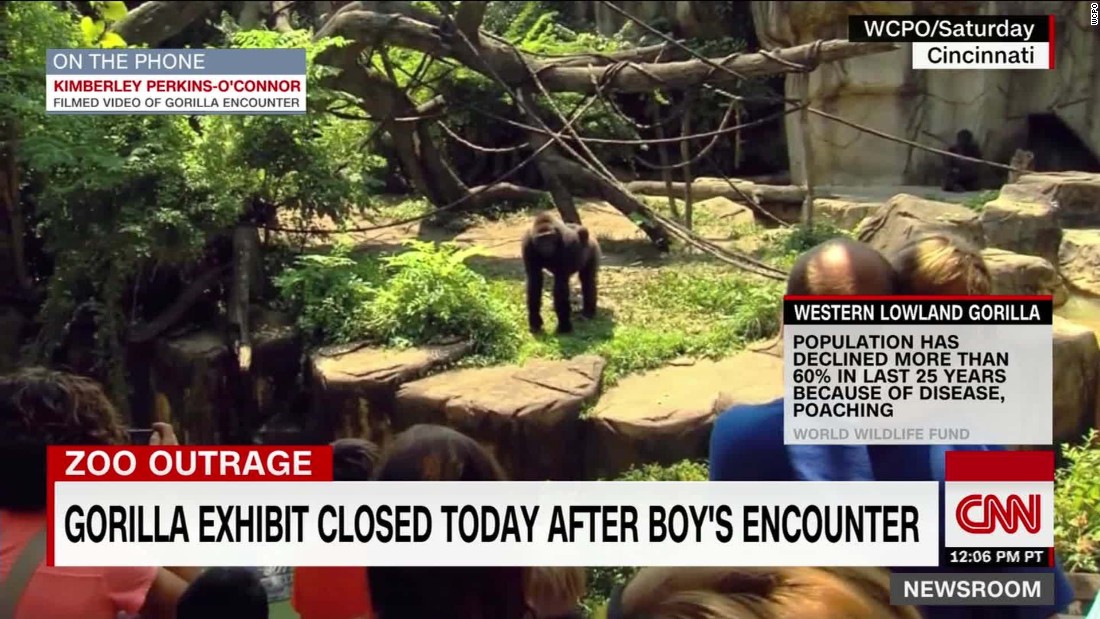 Witness: Gorilla pulled the child's pants up - CNN Video