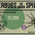 gfx-death-superbug_vs_spider