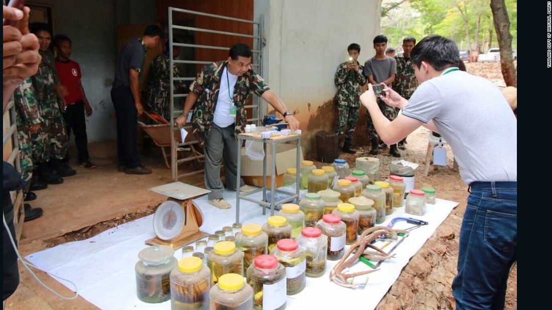 Thai wildlife and conservation officials display more animal parts found at the controversial Buddhist temple on June 2.