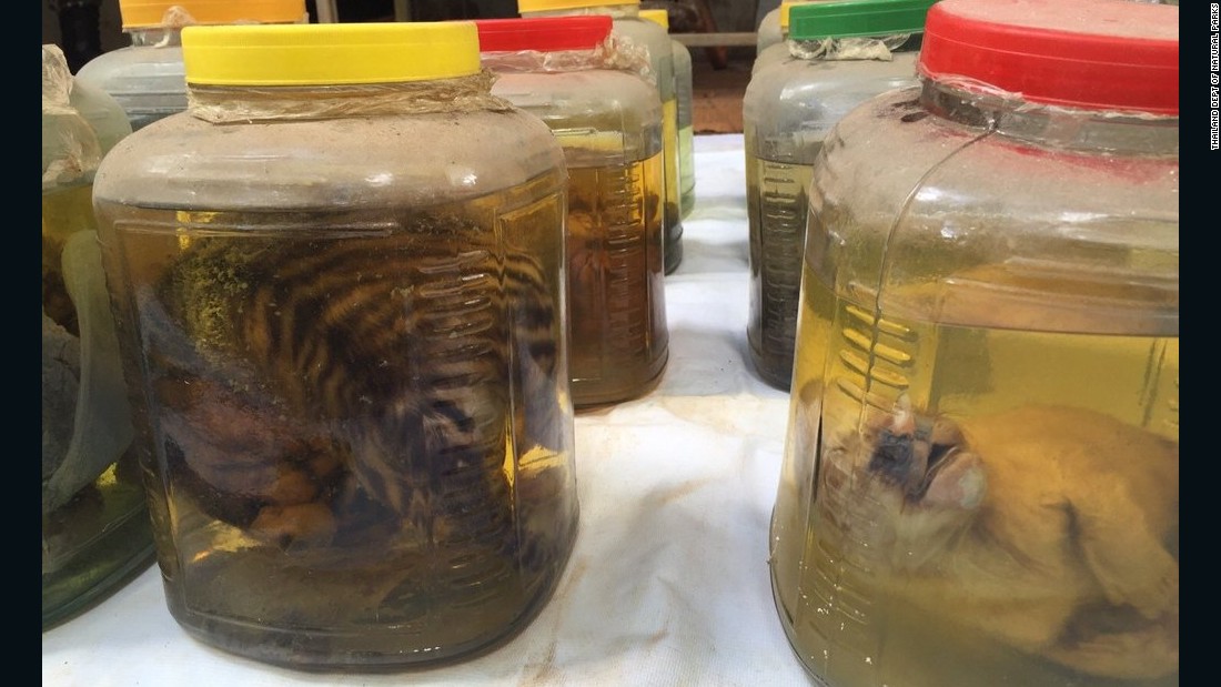 Jars containing baby tiger parts found at Wat Pha Luang Ta Bua Temple on June 2. 