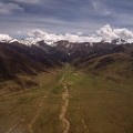 01 tibet fungus - plateau