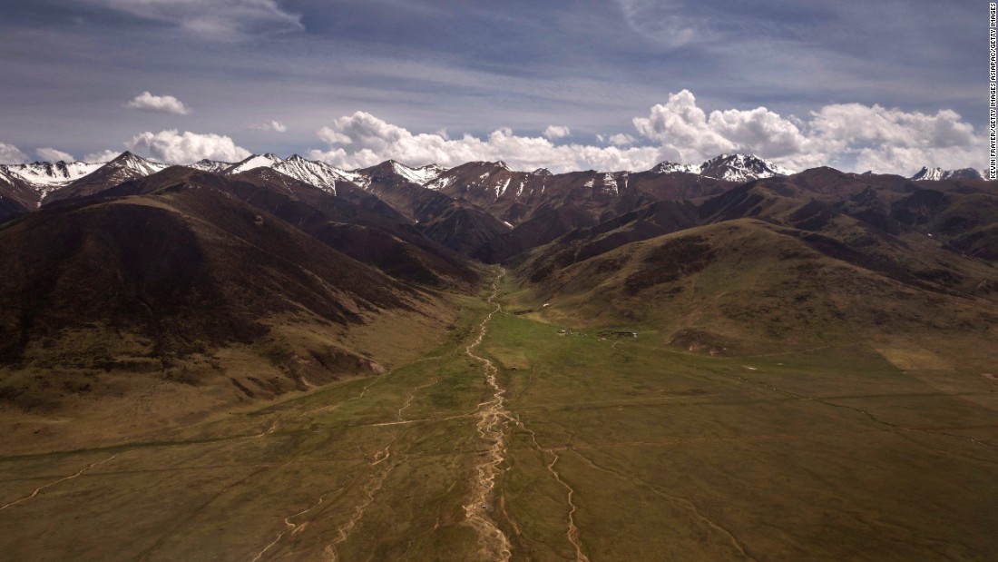 Getty photographer Kevin Frayer captures Tibet&#39;s &quot;gold rush&quot; for a prized fungus used in traditional medicine in a stunning series of images.  Nomads scour the Tibetan Plateau for the cordyceps fungus, which can sell for up to $50,000 per pound.