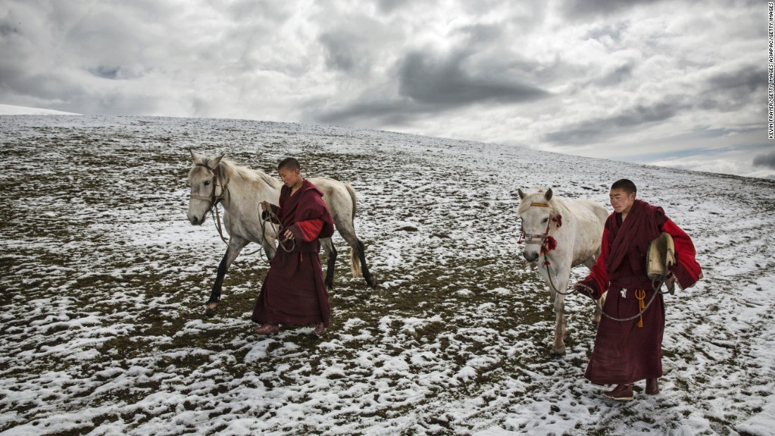 Tibetan monks can&#39;t take part in the great fungus hunt.  According to tradition, they can buy and sell the fungus but never harvest.