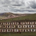 05 tibet fungus shacks