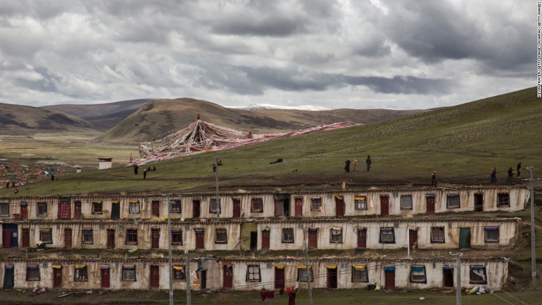 Each year, temporary camps come to life.  But environmentalists warn that over-harvesting the fungus degrades the grasslands used by yaks and cattle. 