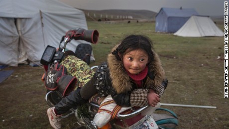  A Tibetan nomad girl rests on a motorcycle  at a temporary camp for picking cordycep fungus on May 22, 2016.