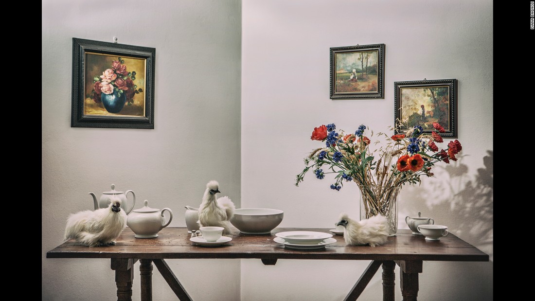 Ornamental chickens sit on a table at Chiara Sgambati&#39;s home in Pavia, Italy.