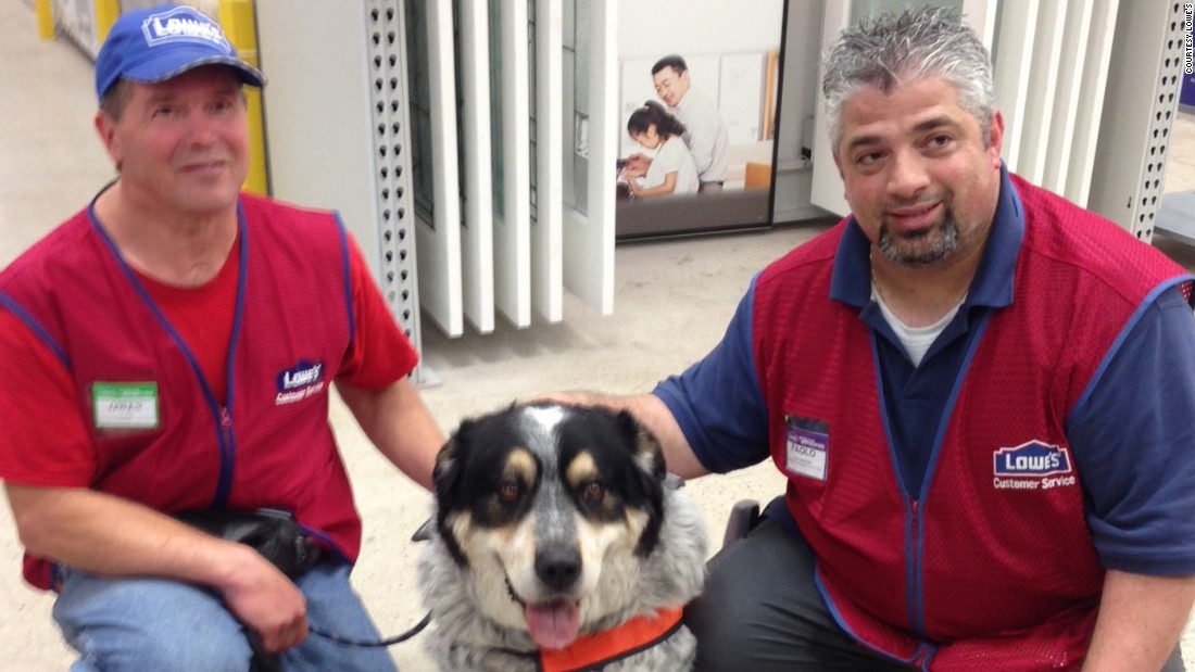 lowes matching dog shirts