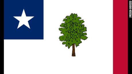 The Magnolia flag was Missippi&#39;s state flag from 1891 to 1894.