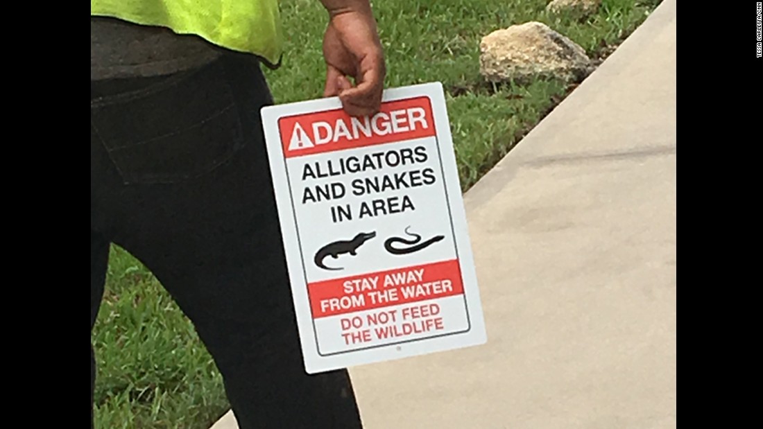 alligator signs Florida gift gators, Warning Sign DO NOT FEED THE ALLIGATORS 