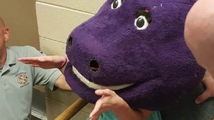 Video of girl stuck in Barney mask goes viral - CNN Video