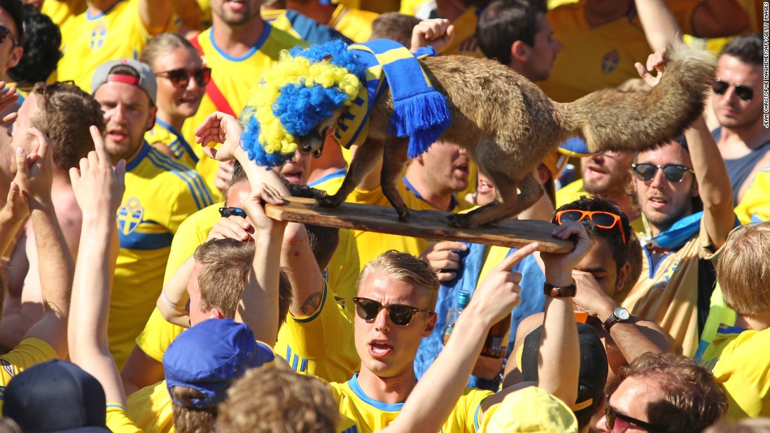 A Sweden supporter holds a stuffed fox before the match.