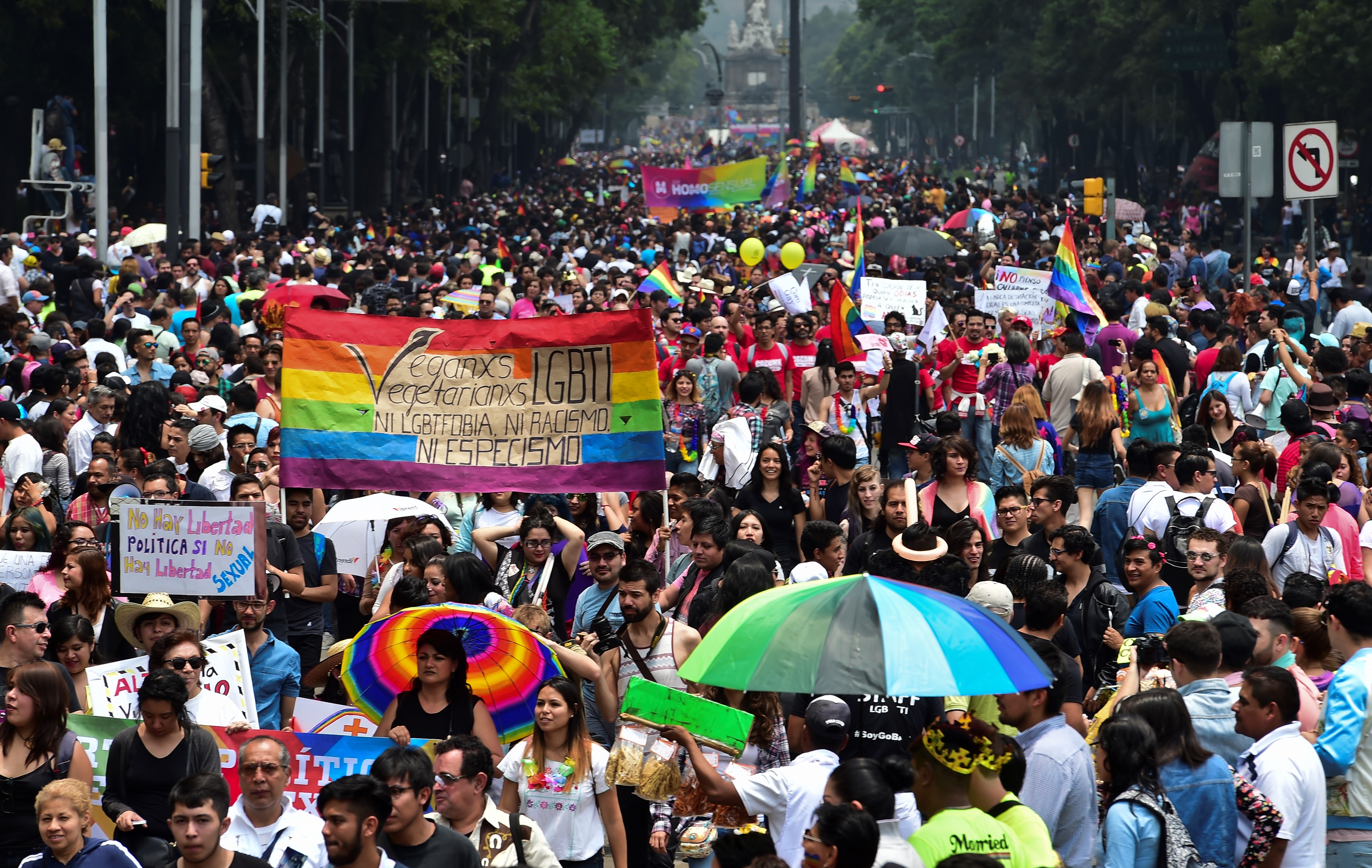 Comunidad gay en México: 