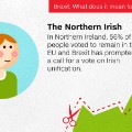 Brexit personas cards - Northern irish 2