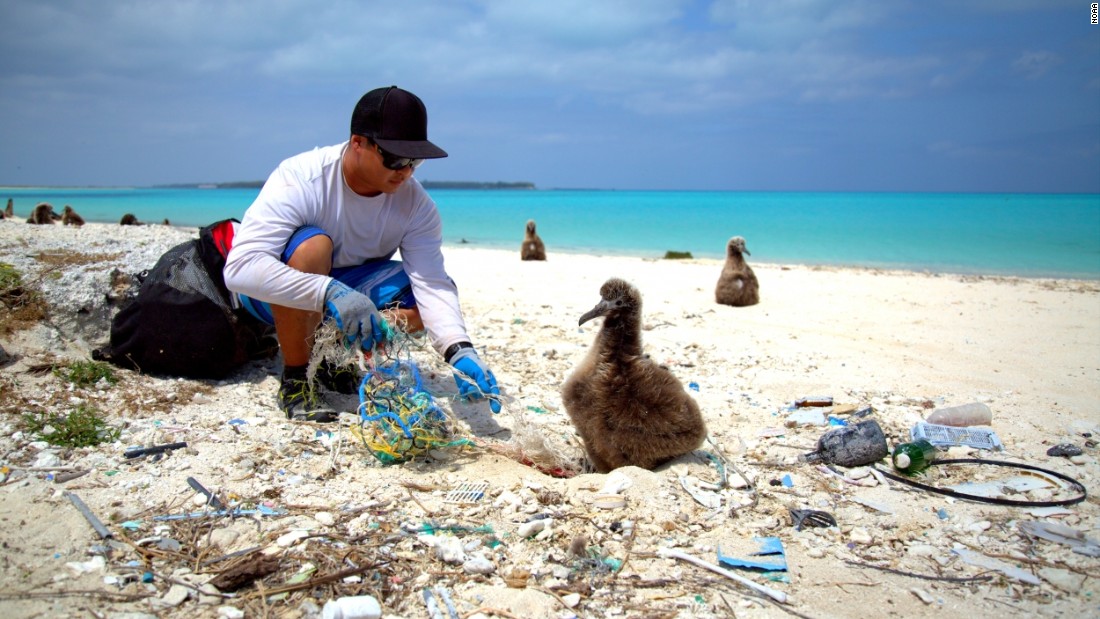 There are different ideas about how to address the crisis. The &lt;a href=&quot;http://www.noaa.gov&quot; target=&quot;_blank&quot;&gt;U.S. National and Atmospheric Association&lt;/a&gt; favors beach cleaning and public education at local level, combined with challenging policymakers and plastic producers to promote conservation.