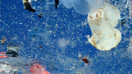 Ban on single-use plastic items approved by European Parliament