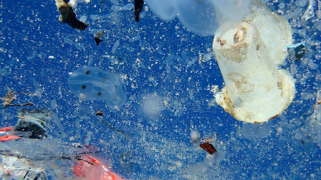 An estimated &lt;a href=&quot;http://web.unep.org/environmentassembly/estimated-8-million-tons-plastic-waste-enter-world%E2%80%99s-oceans-each-year-0&quot; target=&quot;_blank&quot;&gt;8 million tons &lt;/a&gt;of plastic waste enter the world&#39;s oceans each year. 