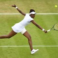 Wimbledon day four Venus