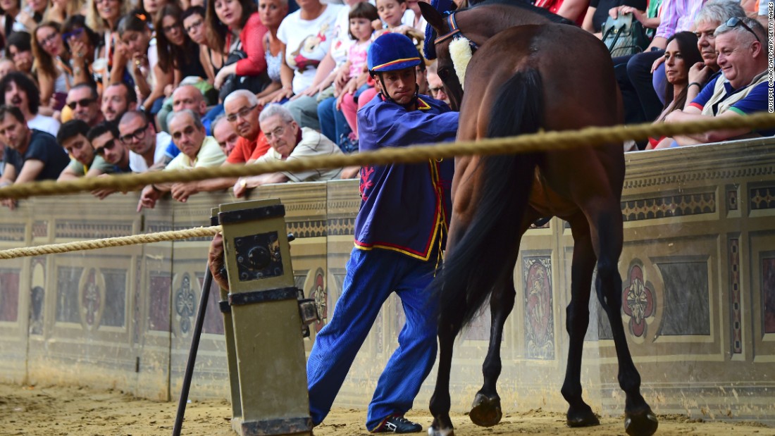 Jockeys can use whips not only on their own horse, but also to disrupt a rival horse.