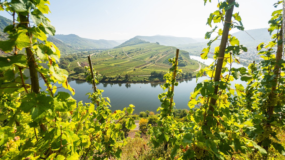best wine tours of the world