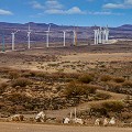 turkana turbines on site