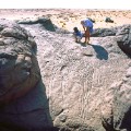 african rock art Niger - Dabous Giraffes