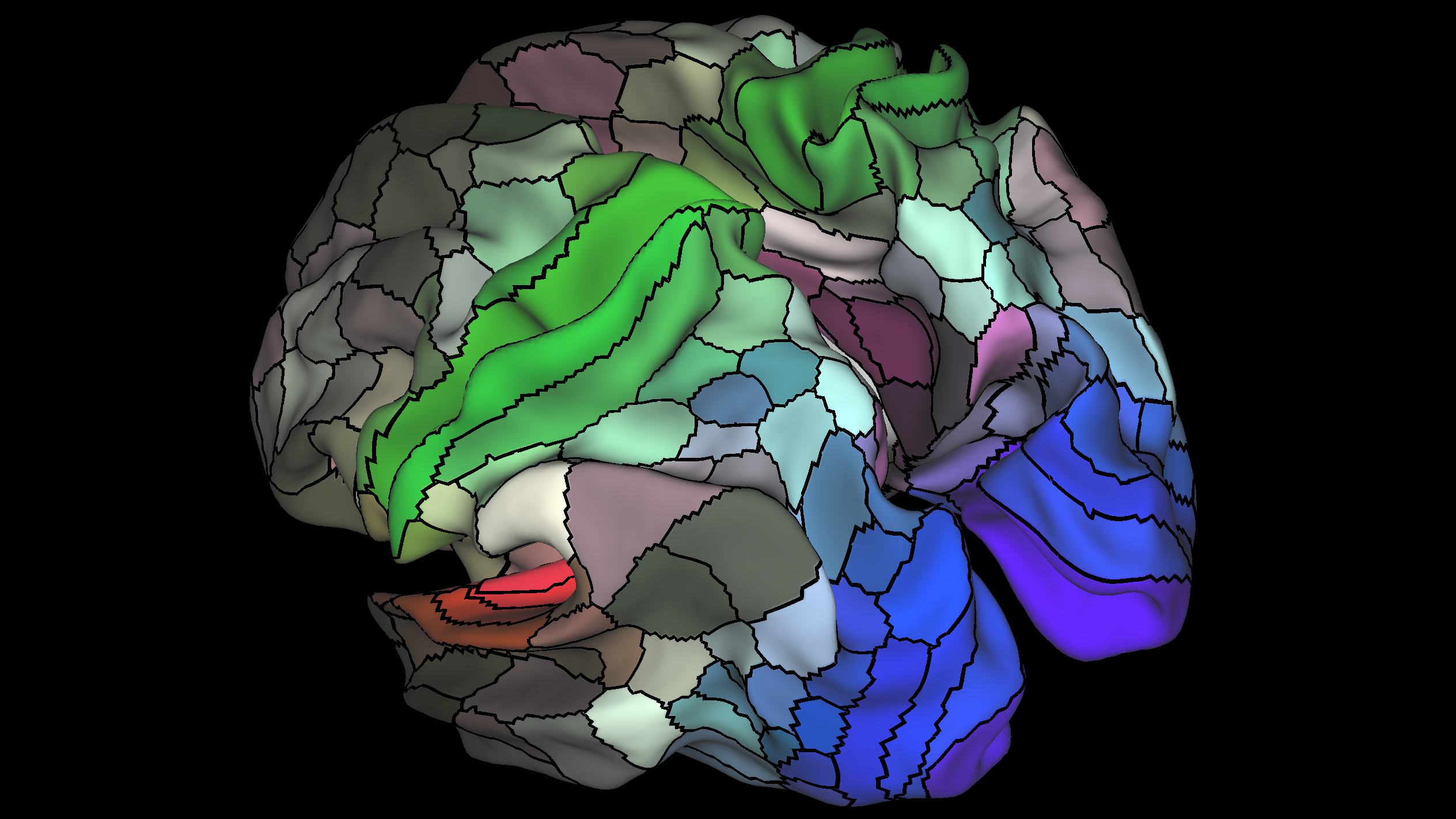 cant find nih in human brain mapping