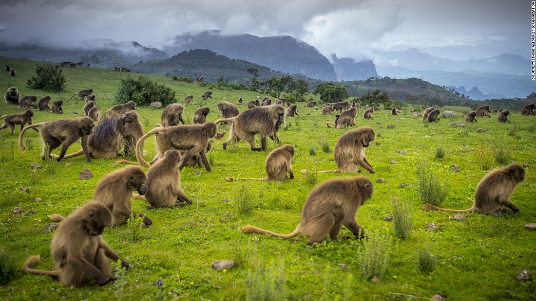 forestille træthed Legepladsudstyr Ethiopia is Africa's next big tourist draw | CNN