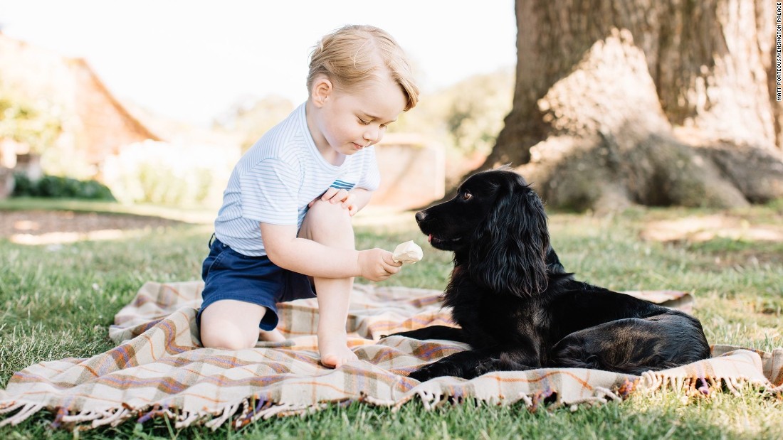 William and Catherine released new photos of Prince George to mark his third birthday in July 2016. Here he plays with the family&#39;s pet dog, Lupo.