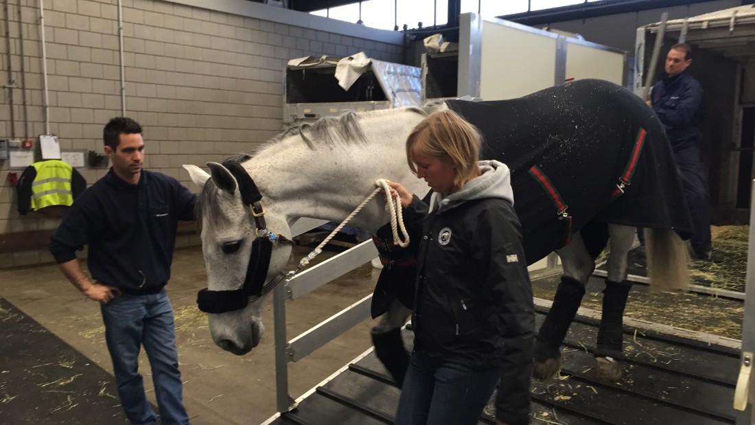 &quot;When we landed ... they unloaded the boxes and transferred the horses to a proper stall on the ground,&quot; says Alicia Heiniger, head of the luxury lifestyle media company Equestrio. 