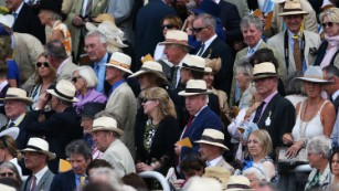 panama hat goodwood