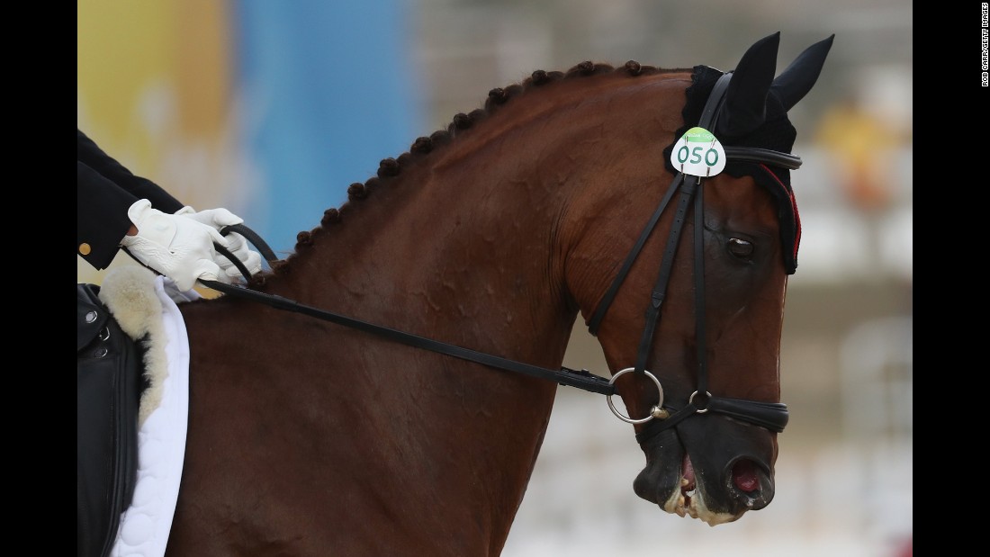 China&#39;s Tian Alex Hua, riding Don Geniro, competes in the Eventing Individual dressage event. He was 12th ahead of Monday&#39;s cross country and Tuesday&#39;s jumping.