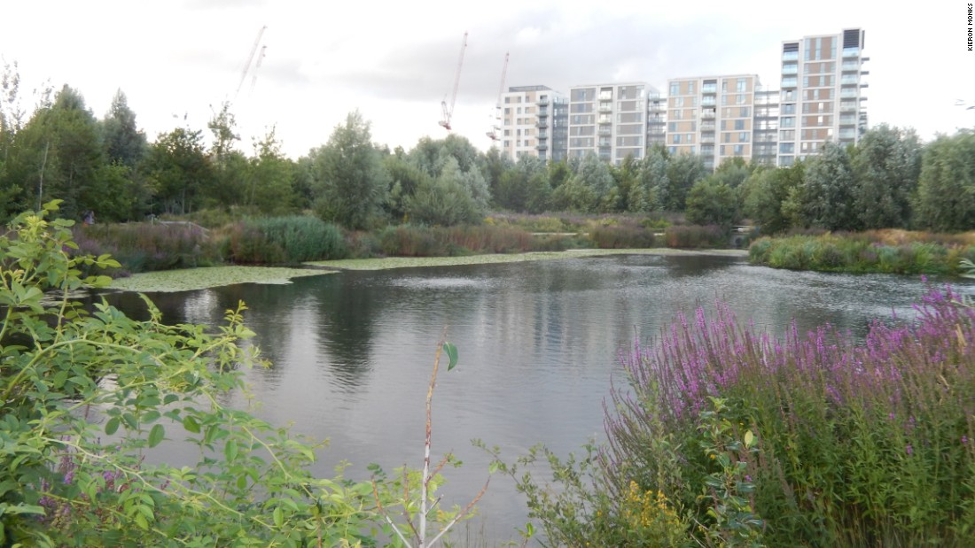 Queen Elizabeth Olympic Park also includes a wetland bird sanctuary and nature trail. 