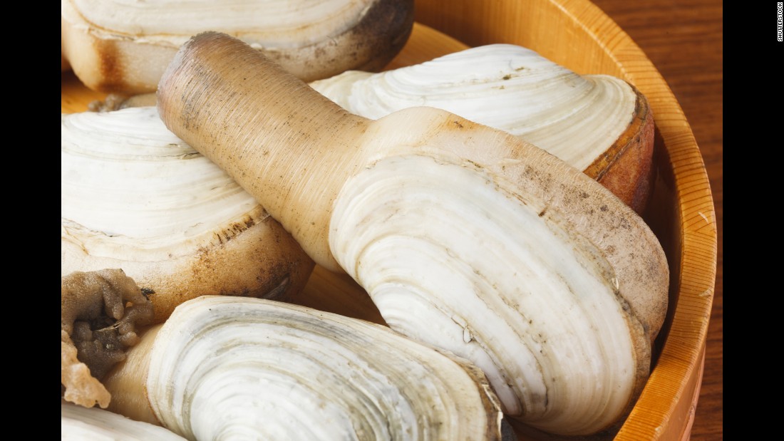 Pronounced &quot;gooey-duck,&quot; the Native American name of this clam means &quot;dig deep&quot;: They generally burrow 2 to 3 feet into sand, gravel or mud. These unsightly clams, which can be found from Alaska to Baja California, average about 2½ pounds, though some have beefed up to more than 8 pounds. On average, geoduck attain full growth at age 15 and go on to live at least 168 years, according to &lt;a href=&quot;http://wdfw.wa.gov/fishing/shellfish/geoduck/&quot; target=&quot;_blank&quot;&gt;Washington Department of Fish and Wildlife&lt;/a&gt;.  