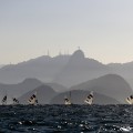 30 rio olympics 0814