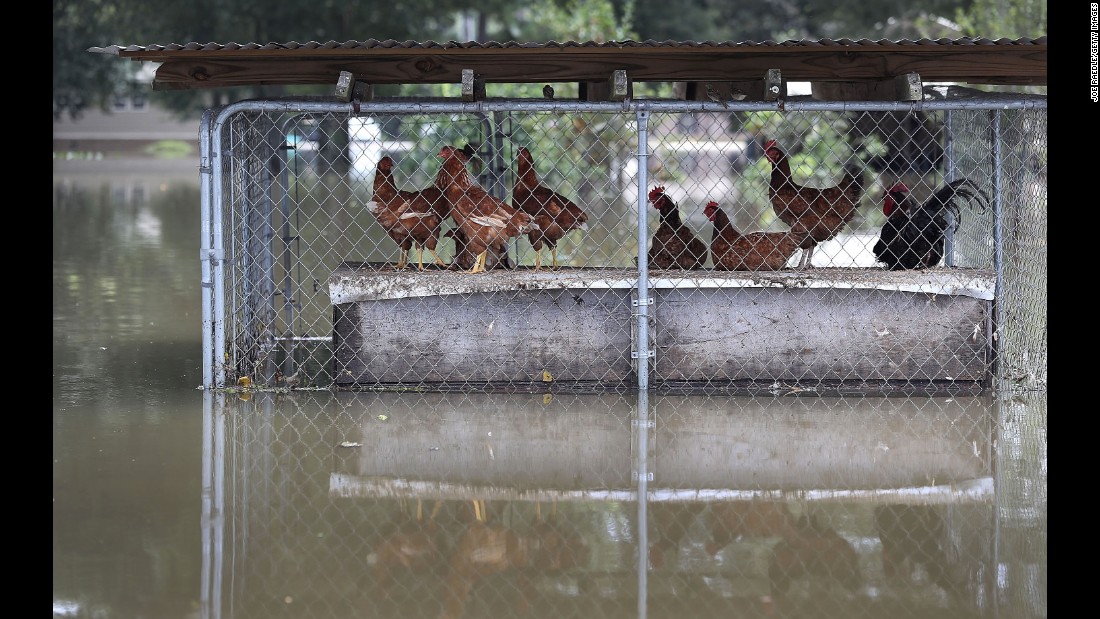 Louisiana flood Worst US disaster since Hurricane Sandy 