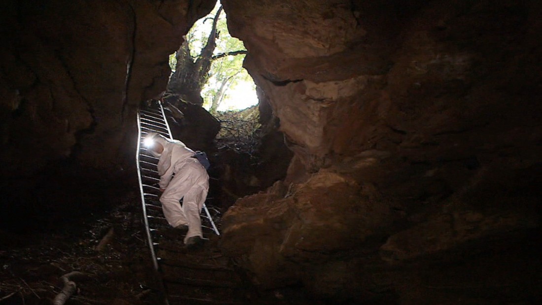 Two researchers carefully descend into Grootboom cave, located just miles away from the densely populated city of Johannesburg in South Africa.