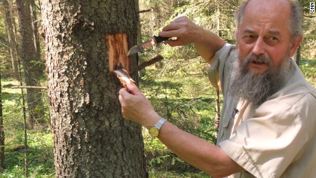 Forester Andrzej Antczak, says these spruce trees need to be cut down to stop the spread.