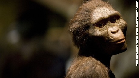 Don&#39;t tell &#39;Lucy,&#39; but modern-day apes may be smarter than our evolutionary ancestors, scientists say