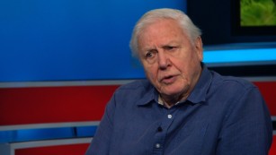 Attenborough: Poaching 'will rest heavily' on humanity