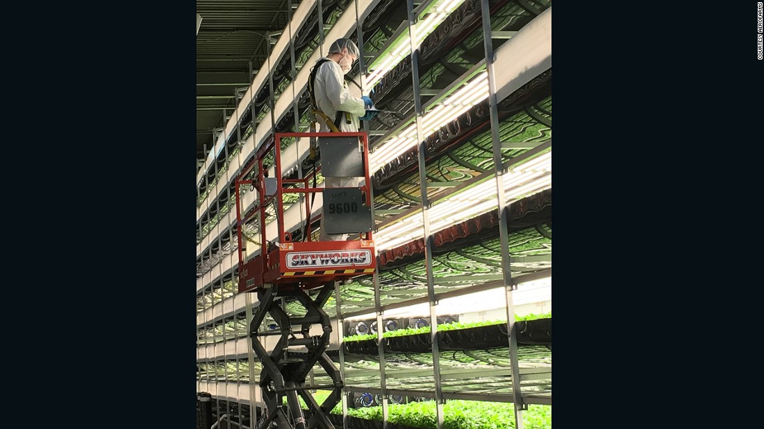 AeroFarms hopes to transform how food is produced with an approach to farming which involves gathering vast amounts of data to create algorithms to help them optimize the growing method for each variety. 