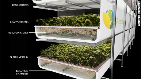 Images from inside Aerofarms, a vertical farming company based in Newark.