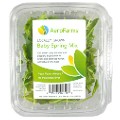 aerofarms baby spring mix